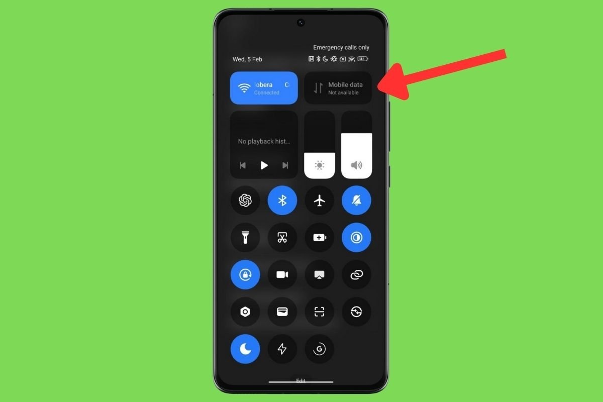 Check your phone's Internet connection to make sure you can download voice notes