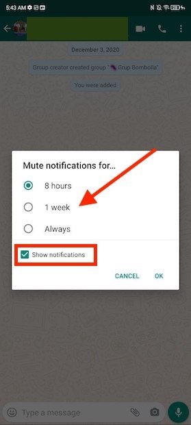 Choose how long to mute the group