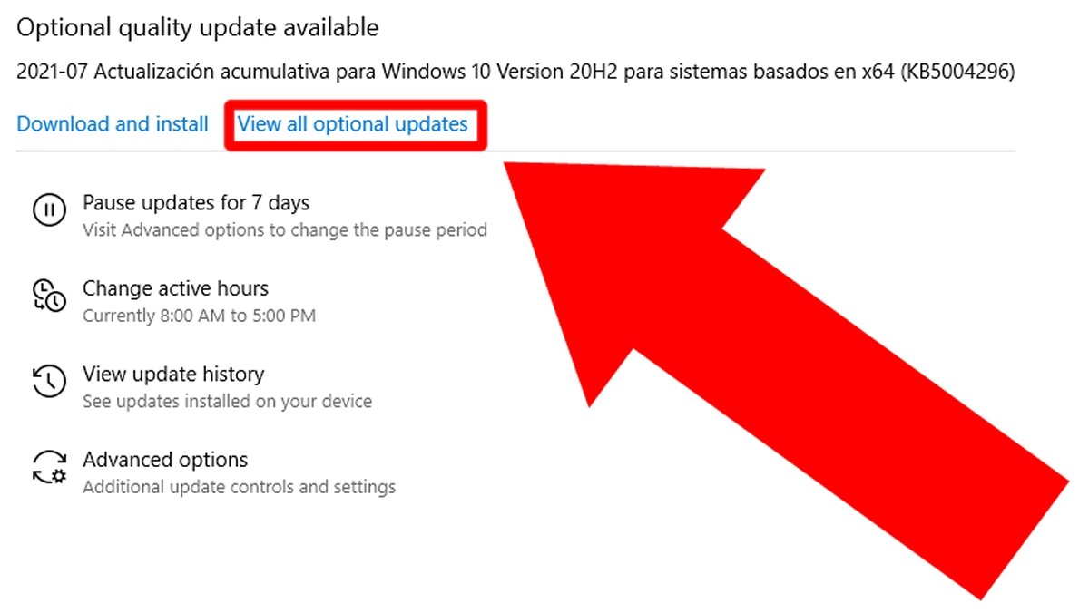 Pincha en View all optional updates para ver todas las actualizaciones disponibles