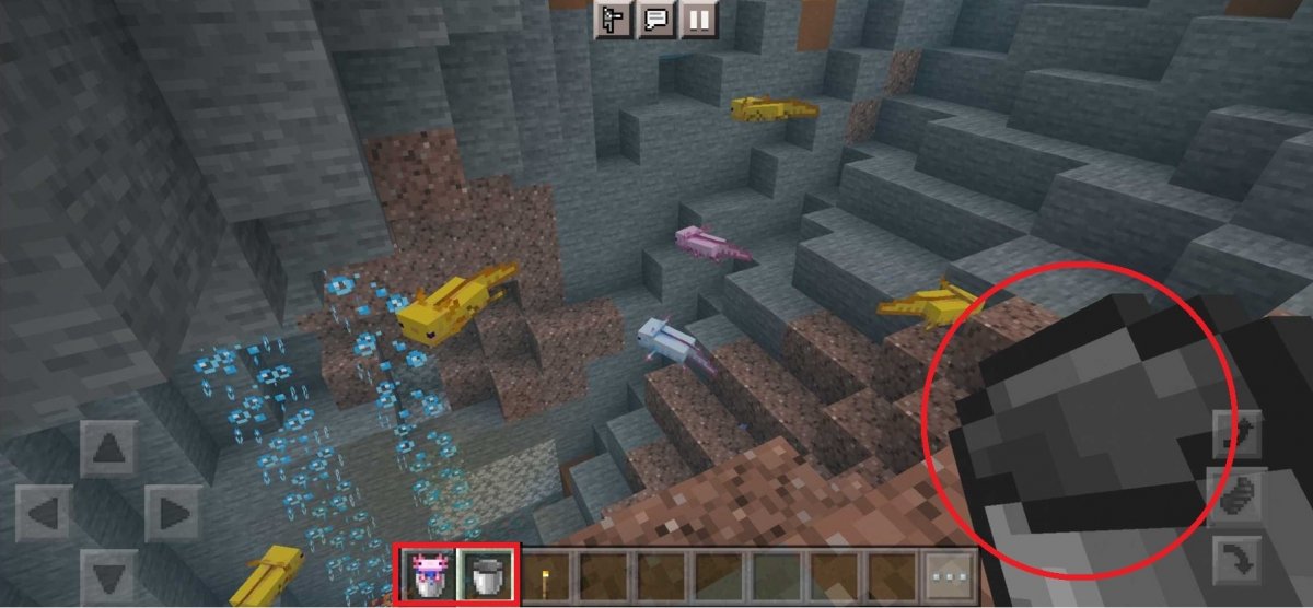 Collecting axolotls with a bucket in Minecraft