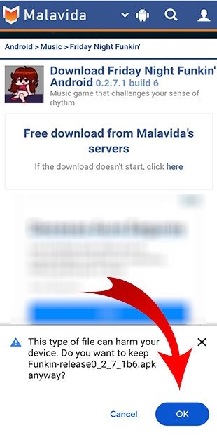 Confirmez le téléchargement depuis le Web