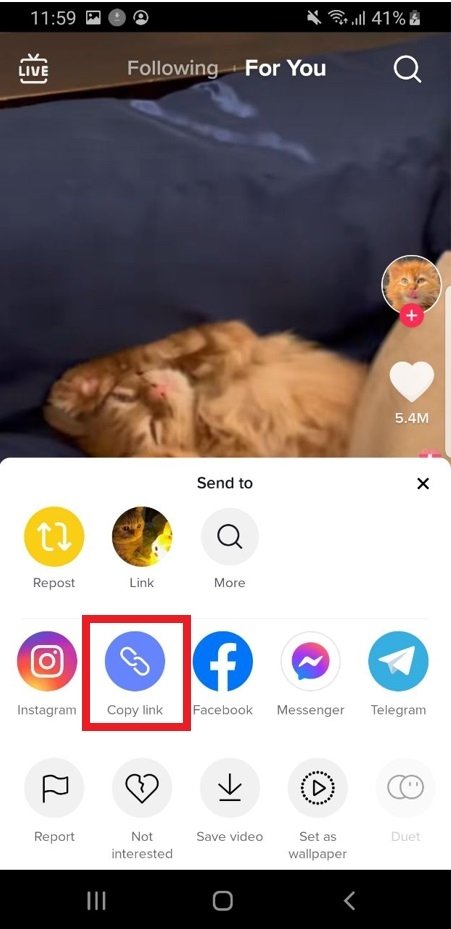 Copy the TikTok video link to paste it into Tmate’s toolbar
