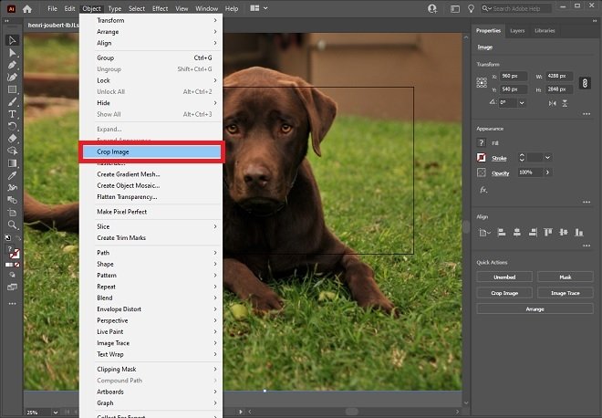 how to crop in adobe illustrator