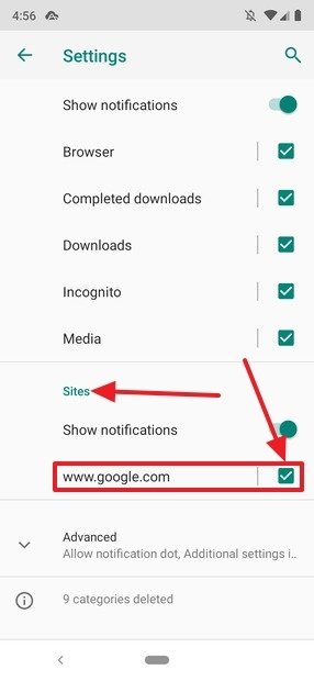 Disable notifications for individual websites