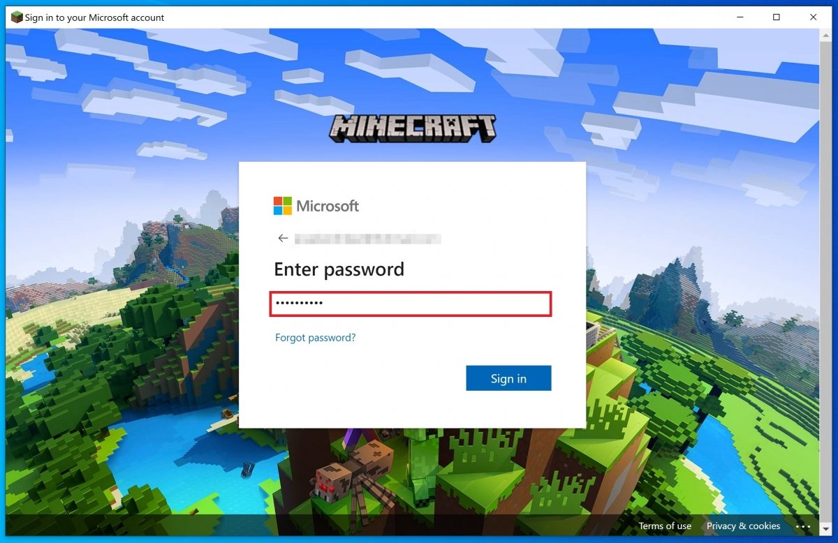 Enter your password