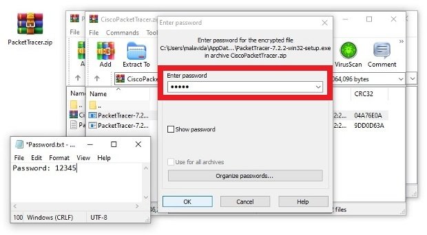 Entering the password to open the EXE files of the password-protected ZIP