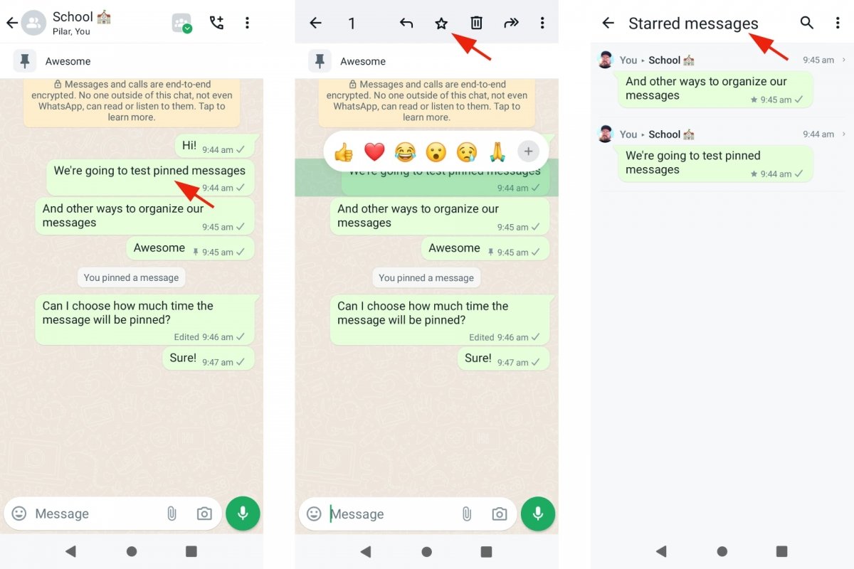 Mettere in evidenza messaggi nelle chat di WhatsApp