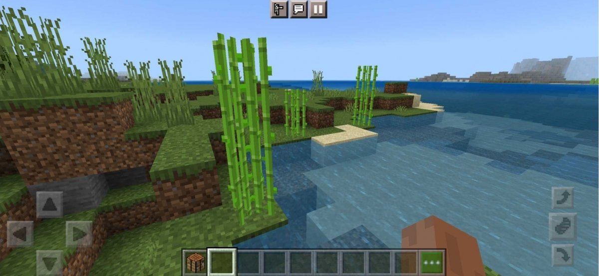 Find sugar cane in Minecraft