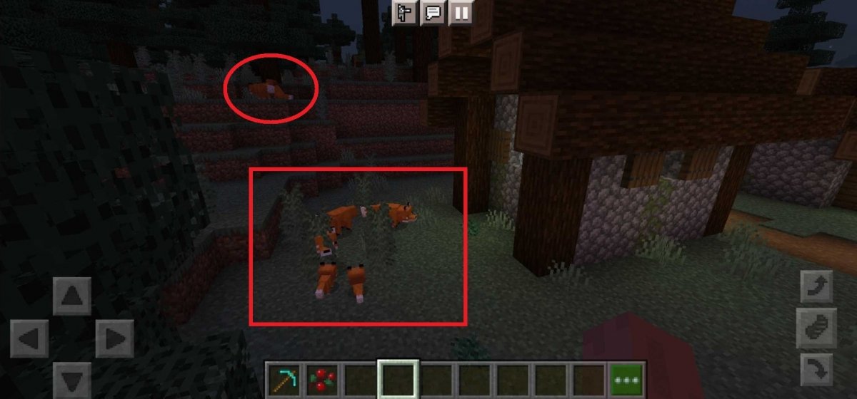 Raposa no Minecraft: veja como domesticar o animal no jogo