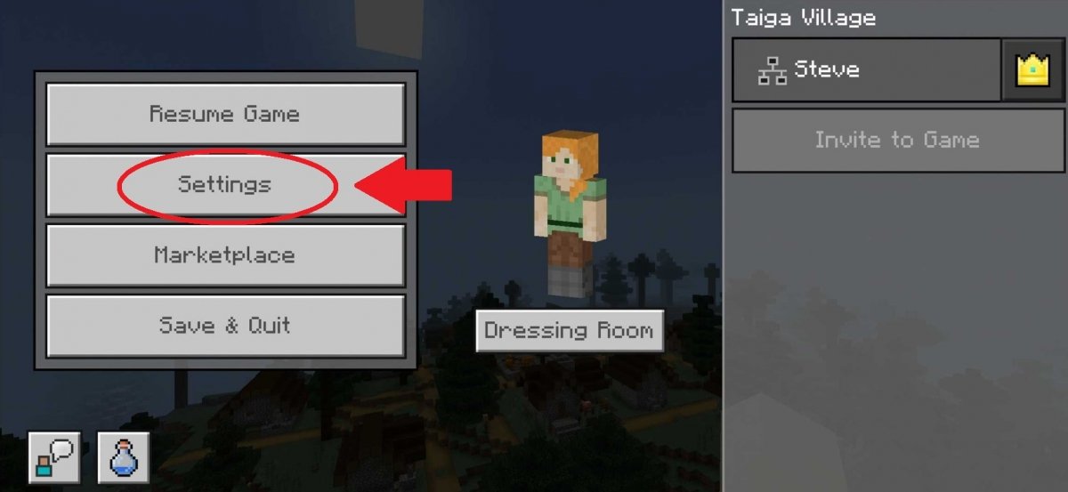 Go to Minecraft’s Settings