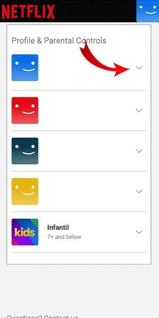 Ir até Profile and Parental Controls