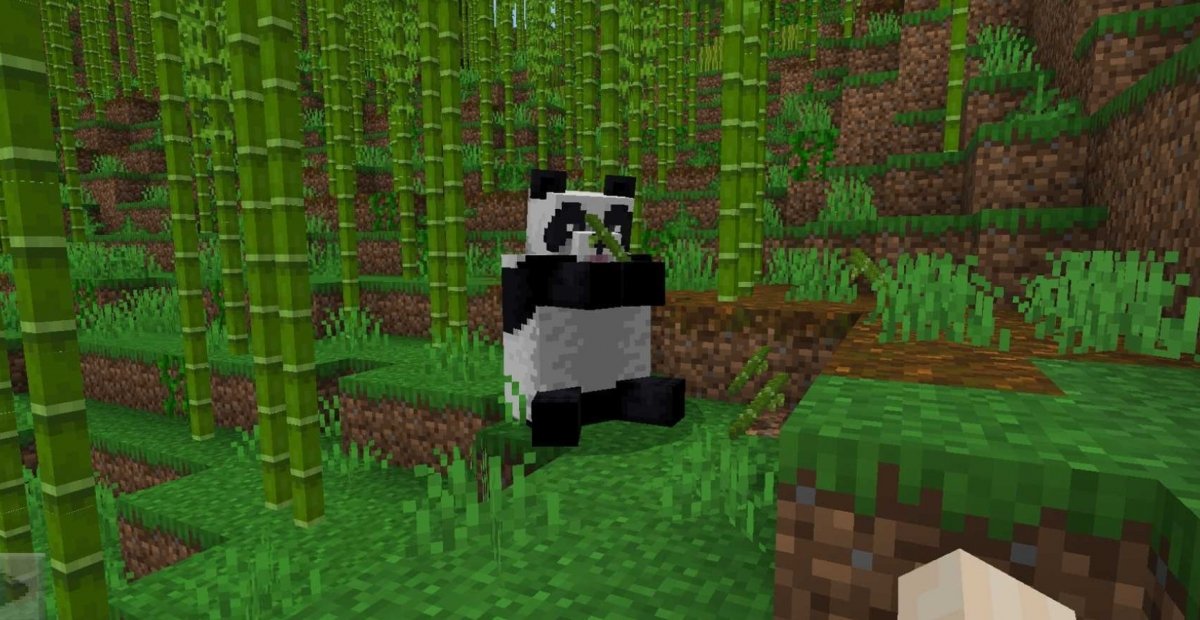 Minecraft Panda Seeds for Bedrock Edition