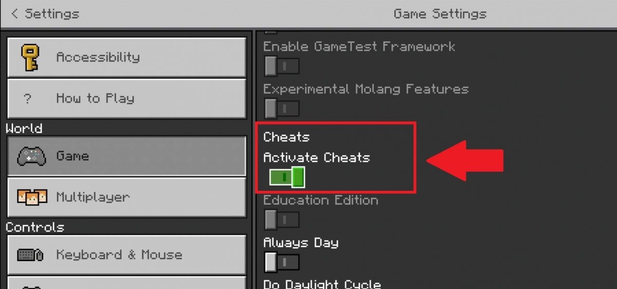 Make sure Cheats are allowed