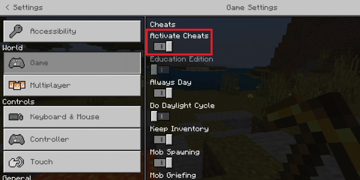 Make sure that the Activate Cheat option is enabled