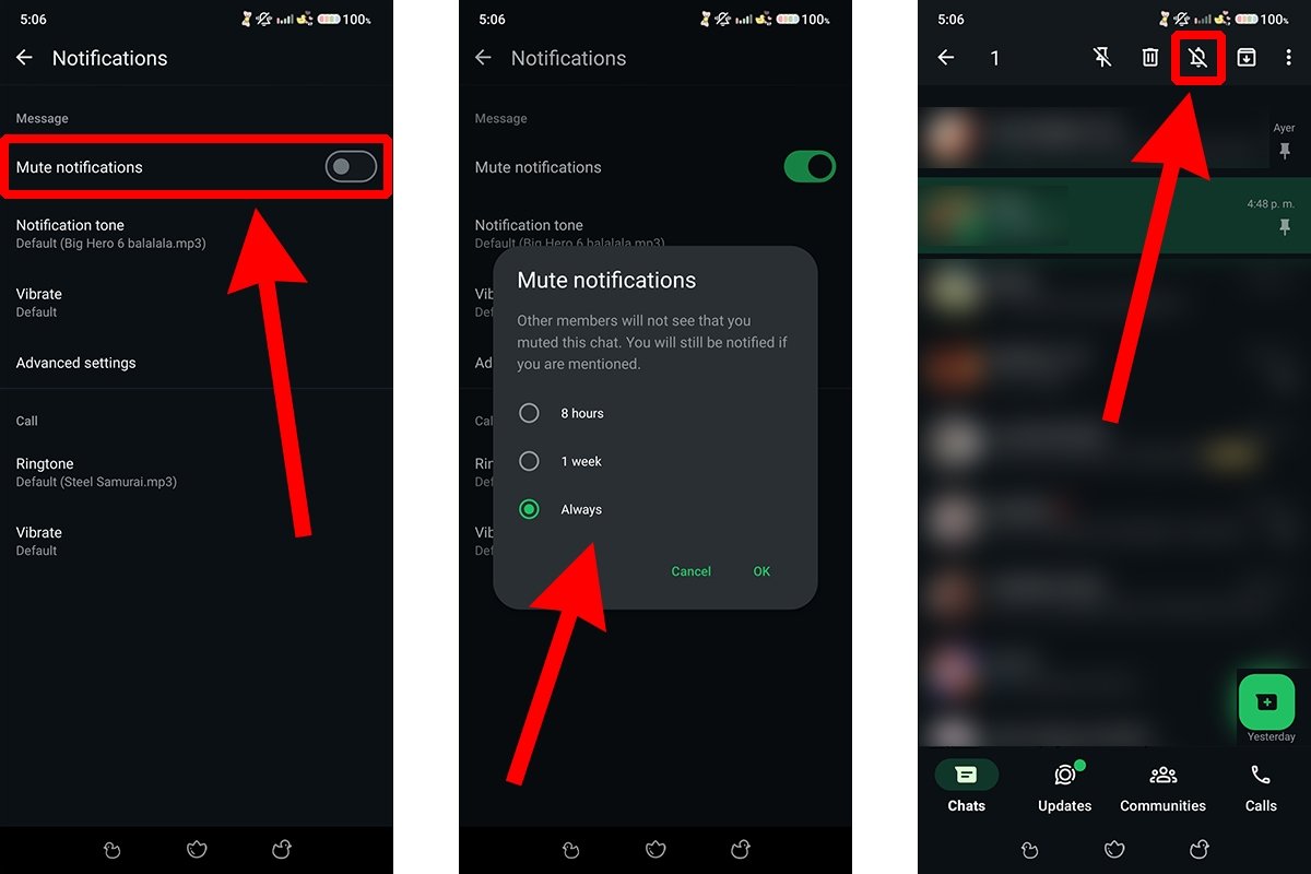 Mute the notficactions of your WhatsApp contact