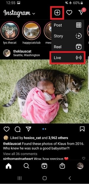 Öffne Instagram und starte ein Live-Video