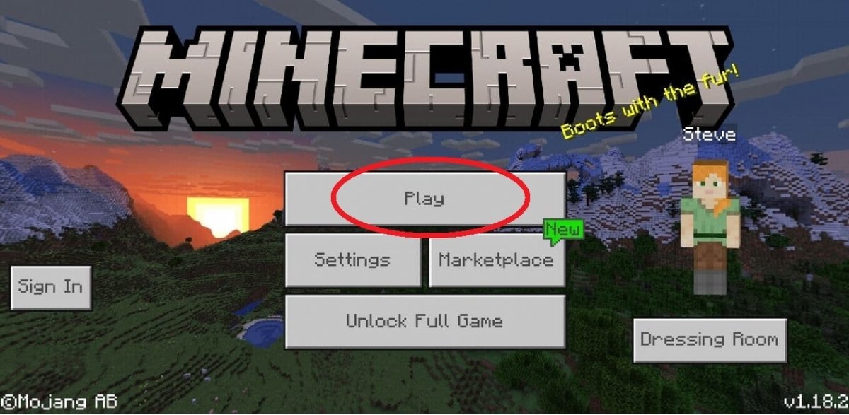 Open the app and have fun playing Minecraft