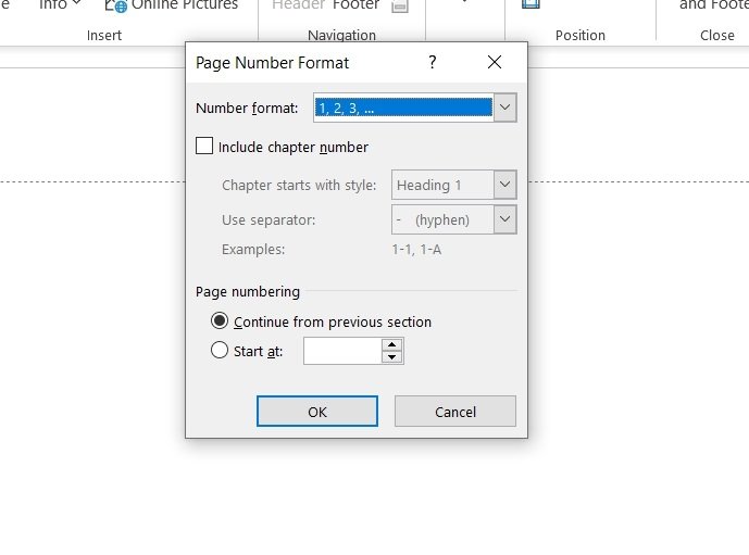 Page number options
