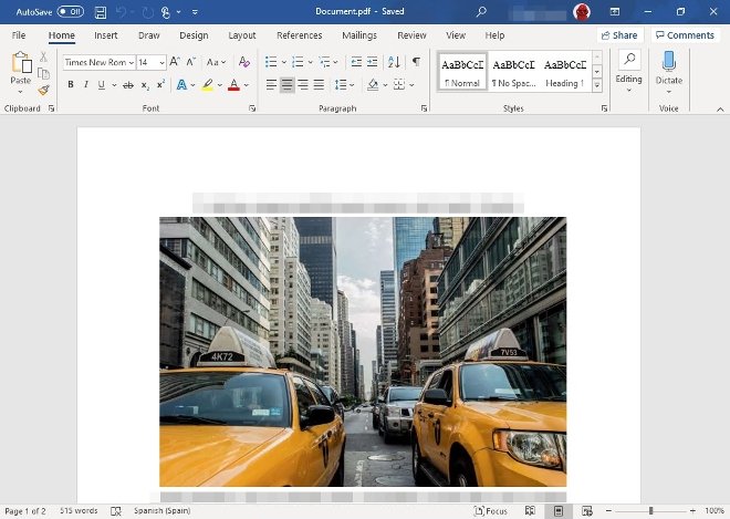 Documento PDF convertido en Word