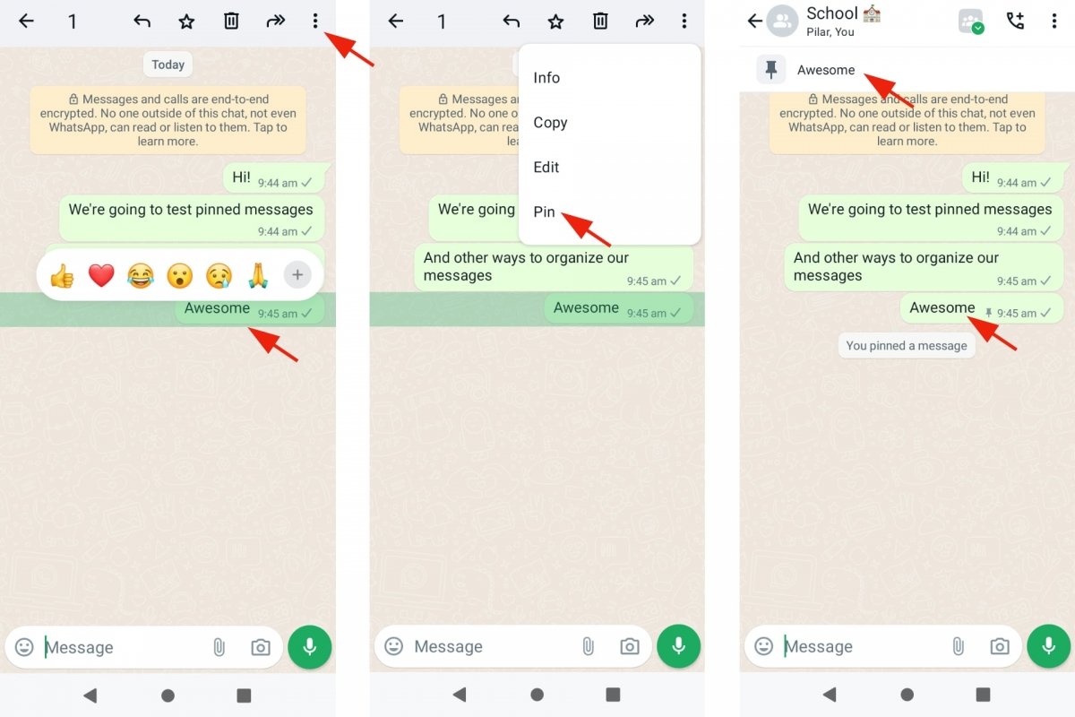 Pinning messages to WhatsApp chats