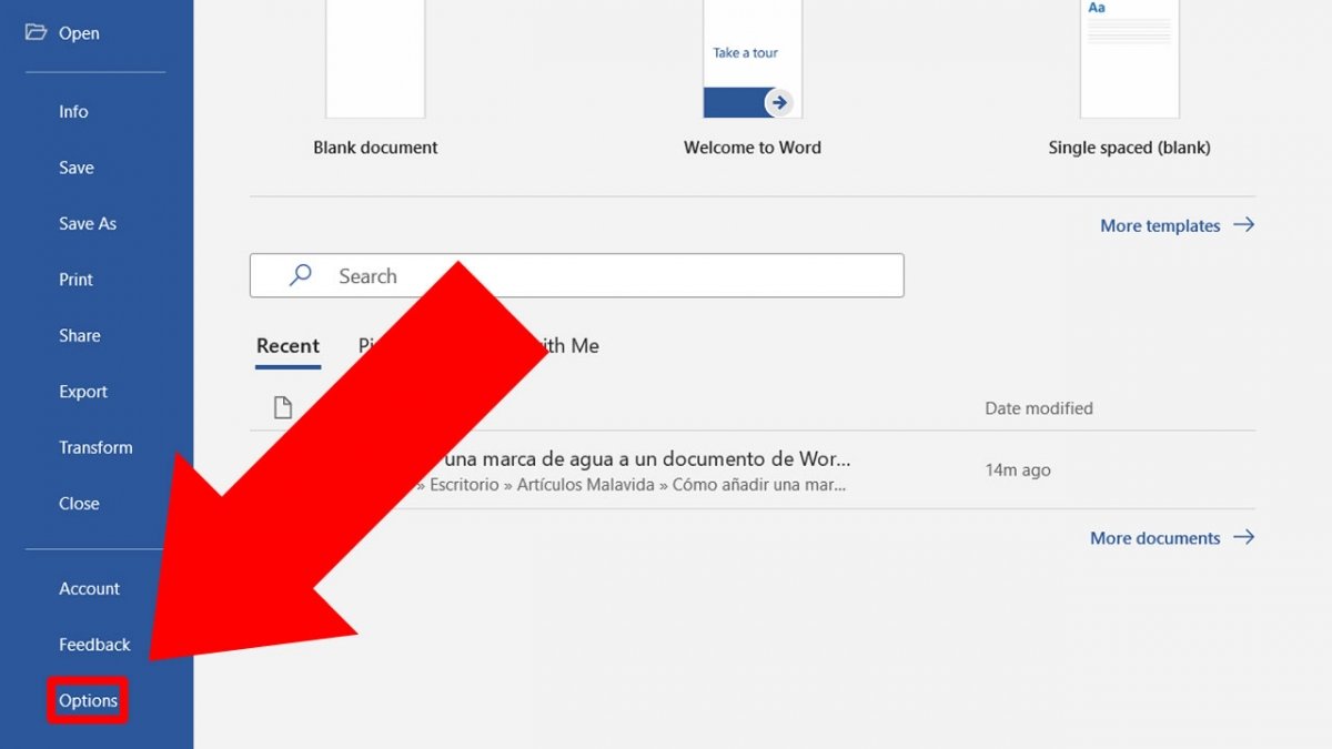 Pulsa en Options para cambiar las preferencias de tus documentos