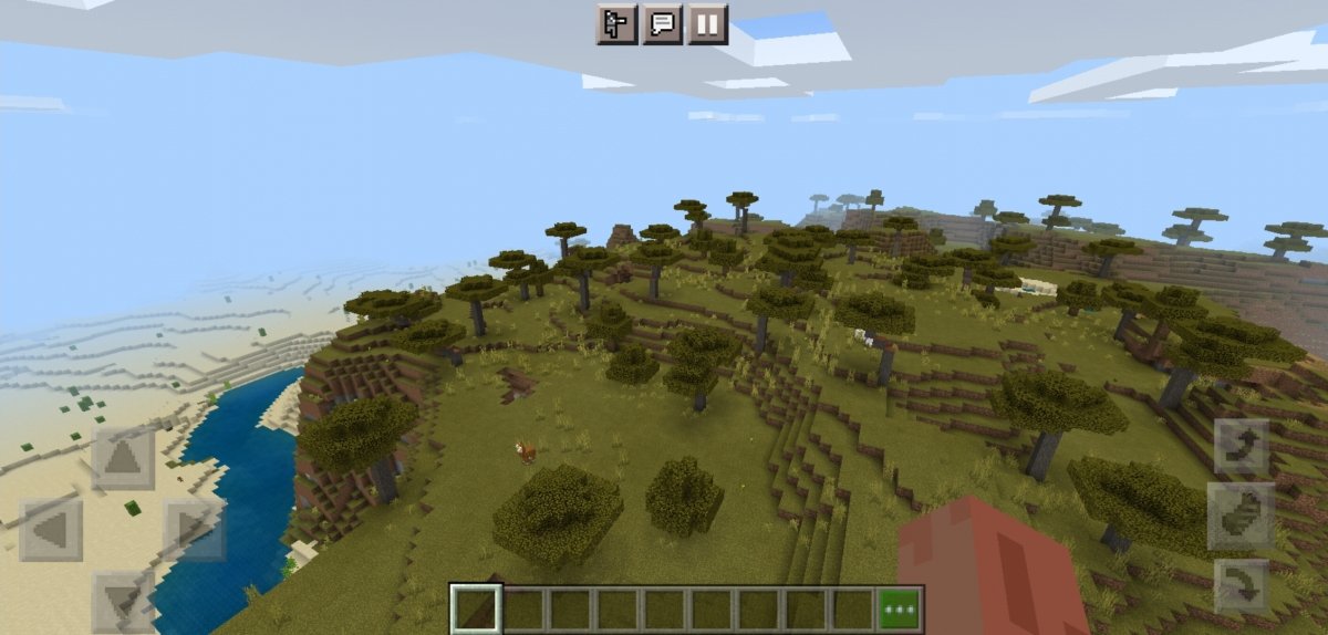 Savanna Biome