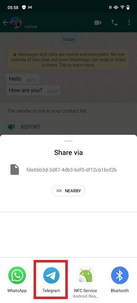 Enviar chat a Telegram