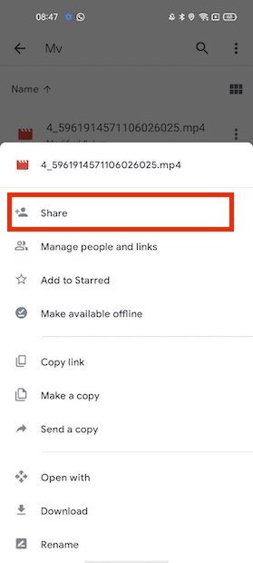 Share the file