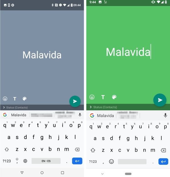 Status sections in FMWhatsApp and GBWhatsApp