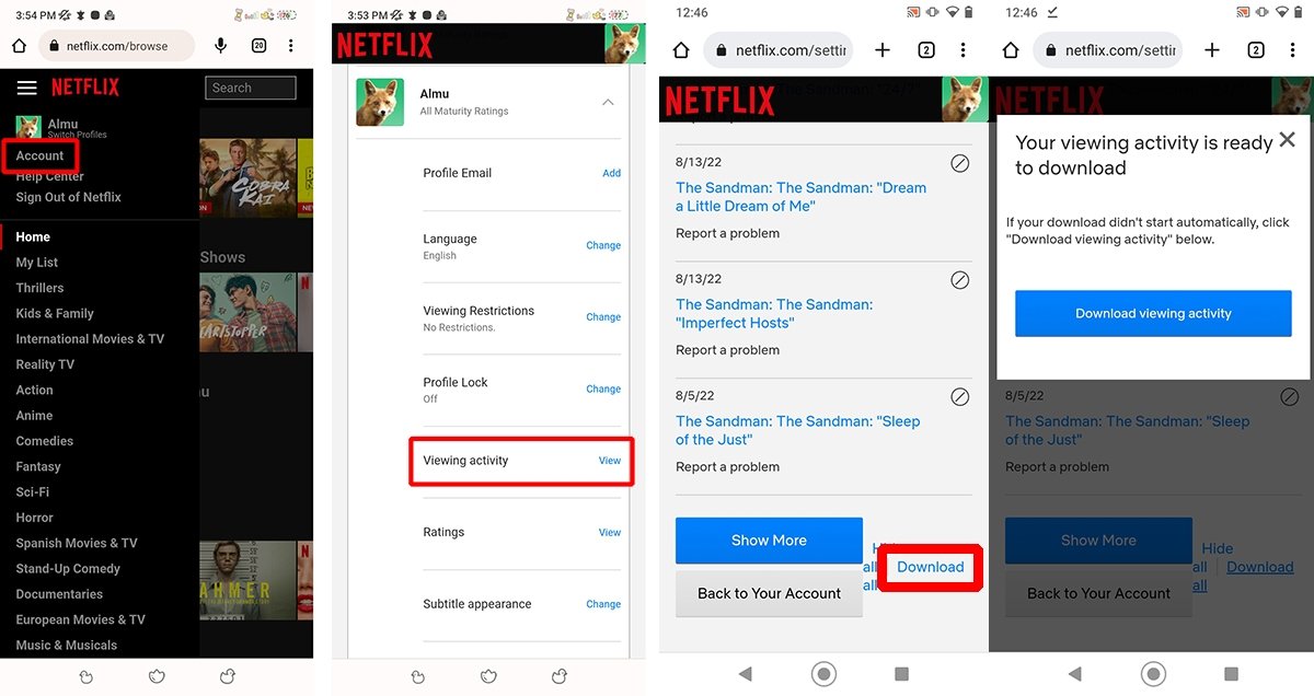 Passaggi per scaricare la cronologia di visualizzazione di Netflix