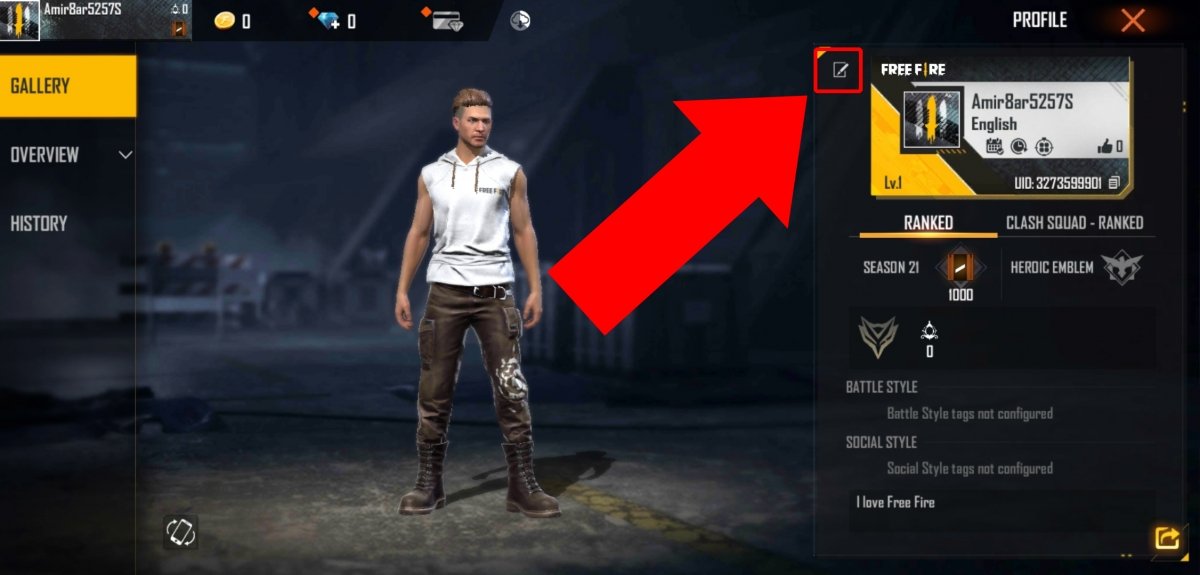 CODIGOS SECRETOS PARA COLOCAR BANDEIRA E LETRAS COLORIDAS NO PERFIL DE  JOGADOR NO FREE FIRE 