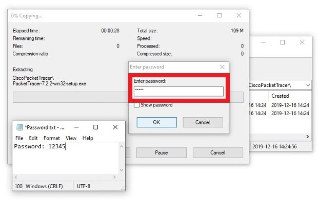 Type in the password to open the ZIP that contains the executable file
