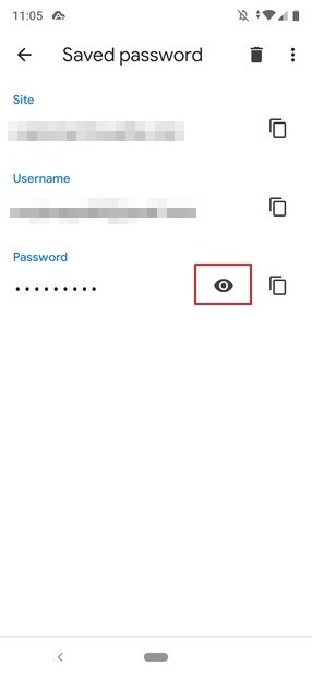 View a saved password