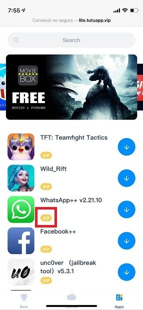 How to use TutuApp on iOS