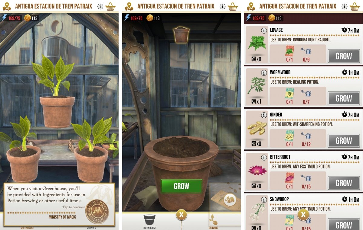 You can grow your own plants in the greenhouses