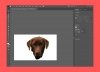 How to crop an image with Adobe Illustrator