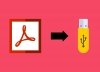 Adobe Acrobat Reader Portable: can it be downloaded?
