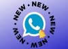 WhatsApp Plus in 2022: Updates and Changes in the new version 19.35.12