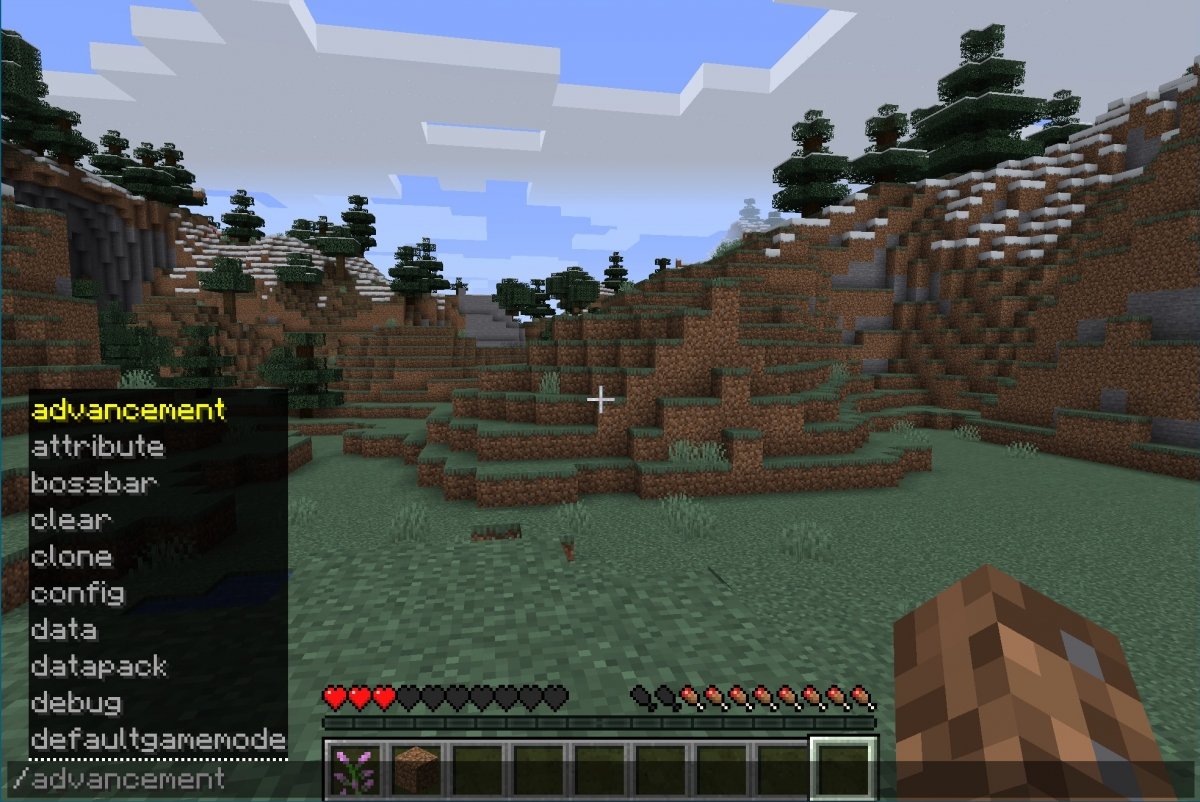 How to turn on cheats with commands in Minecraft for PC