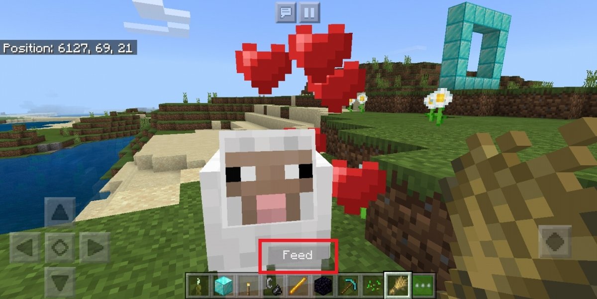 What the animals in Minecraft eat