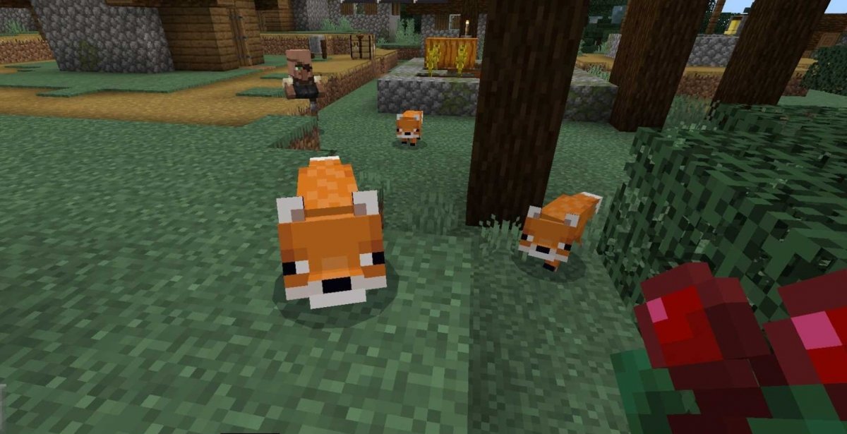 Minecraft foxes: where they are, and how to tame them