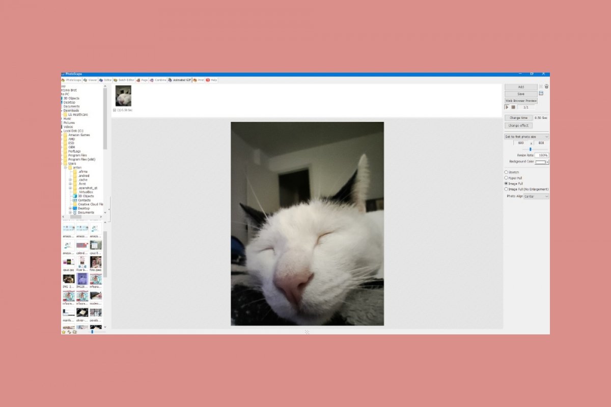 Cómo hacer GIFs animados con PhotoScape