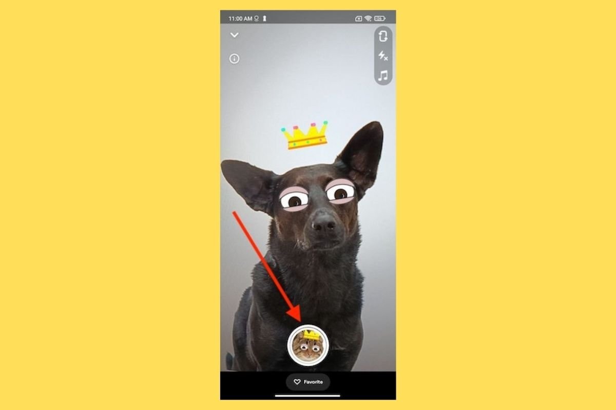 How to use dog filters on Snapchat