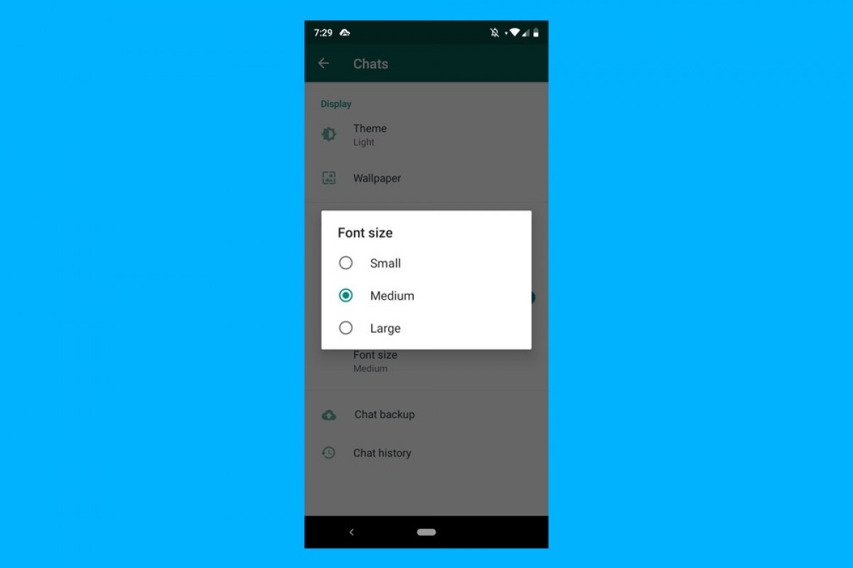 How to change the font size in WhatsApp for Android