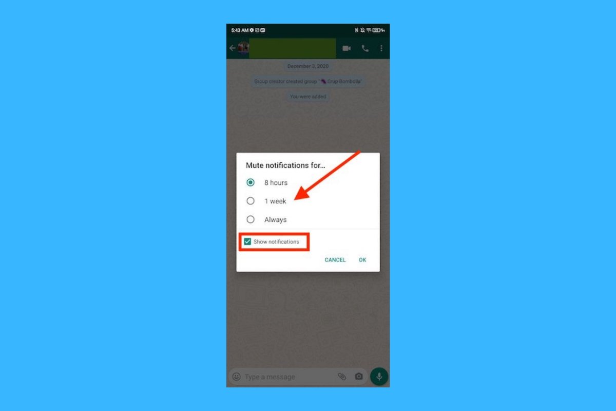 How to mute WhatsApp: conversations, groups, and contacts